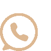 whatsapp icon